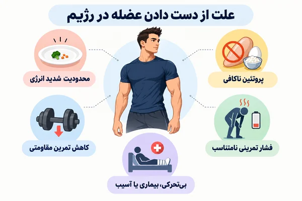 علت از دست دادن عضله در رژیم چیست؟