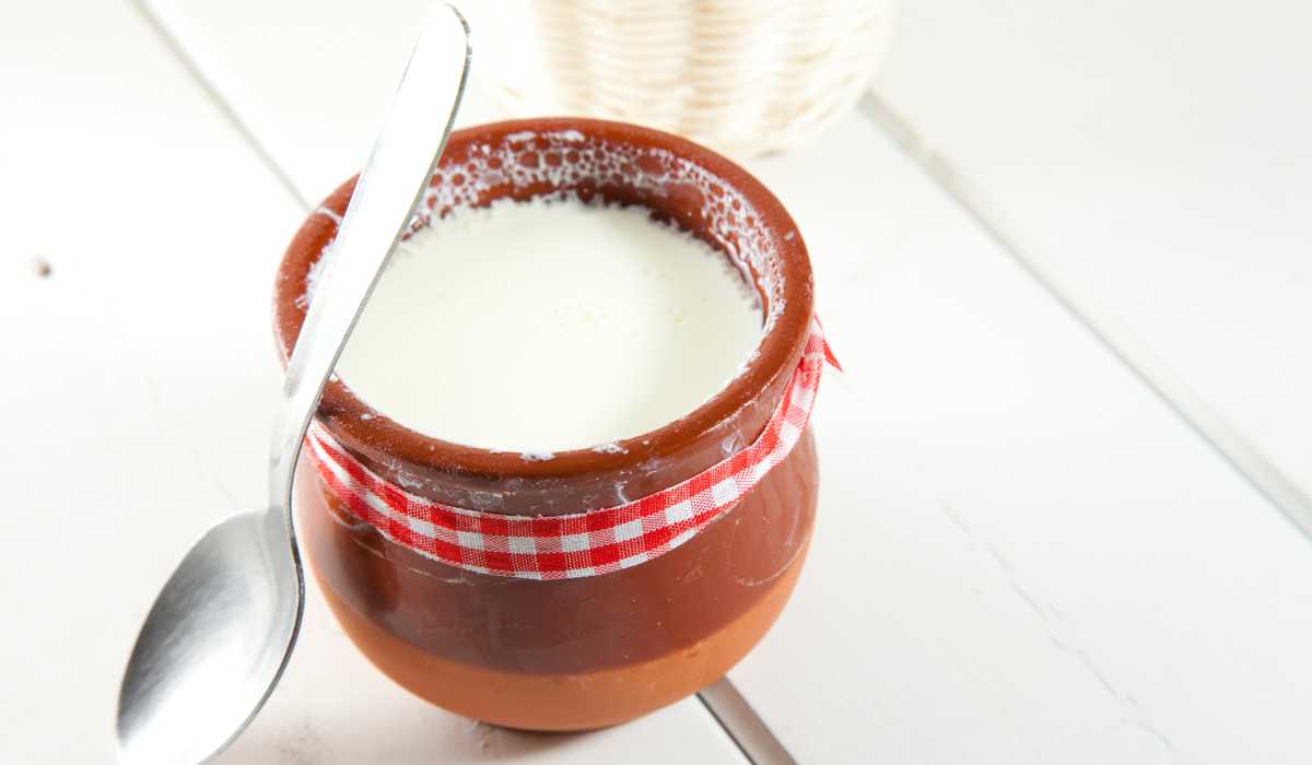 خواص و مضرات کشک در بدنسازی